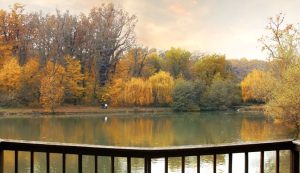 magical autumn is in Maksimir Park