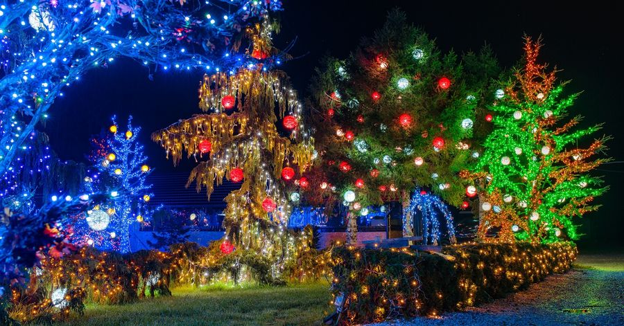 Salajland winter wonderland Christmas Park opens again  