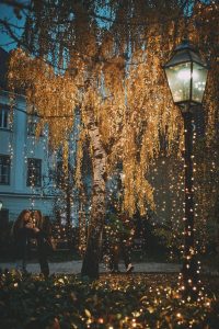 Check out one of the most magical places in Zagreb – Moon Garden