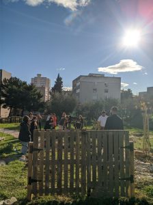 First school botanical garden of Mediterranean plants in Split 