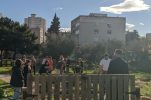 First school botanical garden of Mediterranean plants in Split 