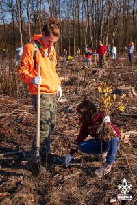 25,000 new seedlings planted across Croatia by 1,500 volunteers - 50,000 more planned 