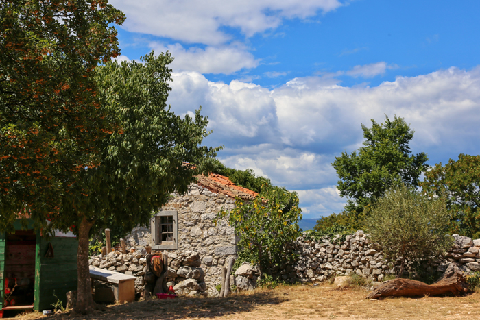 No stress on Cres: Discovering a hedonists paradise at Art Farm Filozici