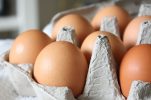 First consumer eggs receive “Proven quality – Croatia” designation