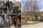 One of the oldest trees in Croatia – 780-year-old large-leaved linden – to be preserved in gene pool conservation project