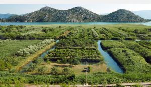 World Wetlands Day being marked in Croatia