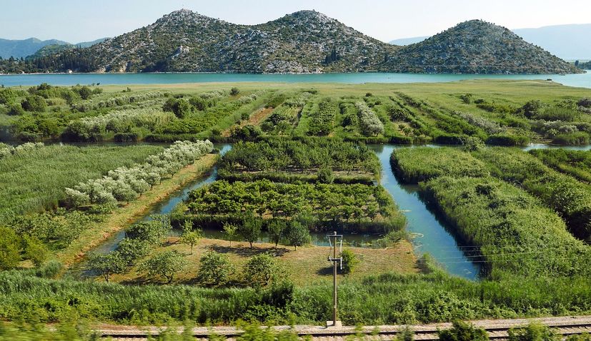 World Wetlands Day marked in Croatia