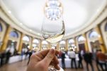 Last year’s harvest gives Malvasia wines exceptional potential En primeur hears