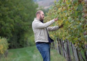Meet Ognjen and Ozren - Croatian brothers creating top quality wines