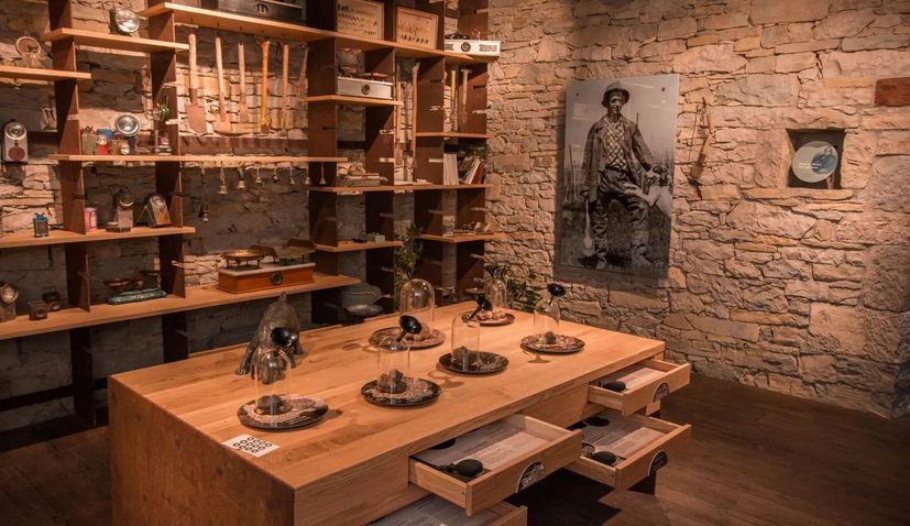 First truffle museum in Croatia opens