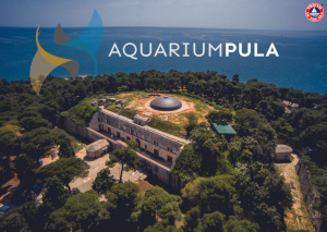 Aquarium Pula, the largest aquarium in Croatia, obtains Friend of the Sea sustainability certification for its outstanding efforts in marine conservation.