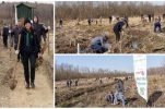 80,000 new seedlings to be planted across Croatia as new ‘Šumoborci’ season starts