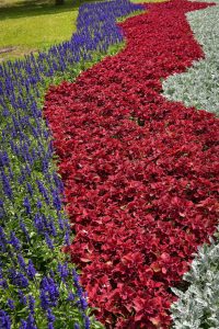 Floraart: International garden exhibition in Zagreb for 56th time in May
