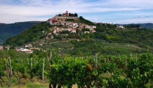 Istria makes list of 15 world’s best holidays for foodies 