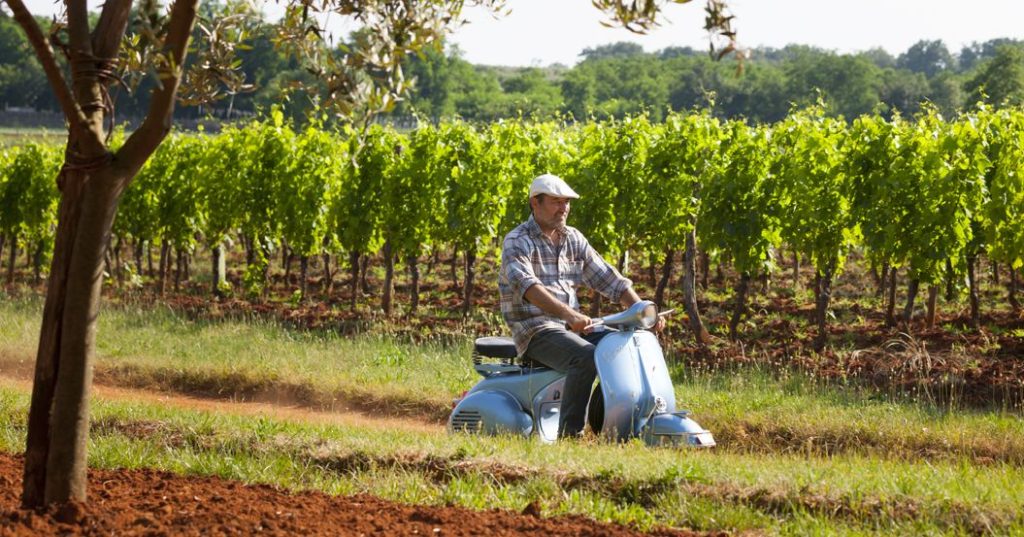 Teran finally gets its deserved status as a great red wine from Istria