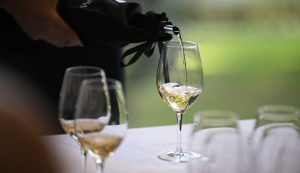 Kozlović's 2018 Santa Lucia named best Malvasia wine in the world