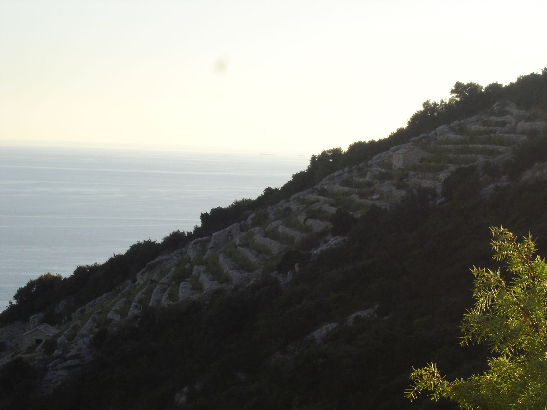 Korčula: 5 hiking routes designed with emphasis on the island’s wine and food specialties