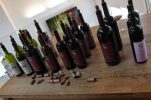 World experts confirm Istrian Teran is up there with the most prestigious red wine varieties 