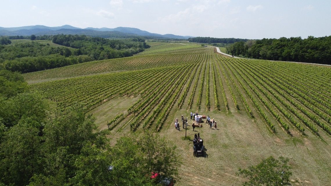 Success in Slavonia: Feravino taking the world wine scene by storm