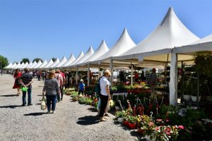 "Floraart" opens at Bundek Lake in Zagreb