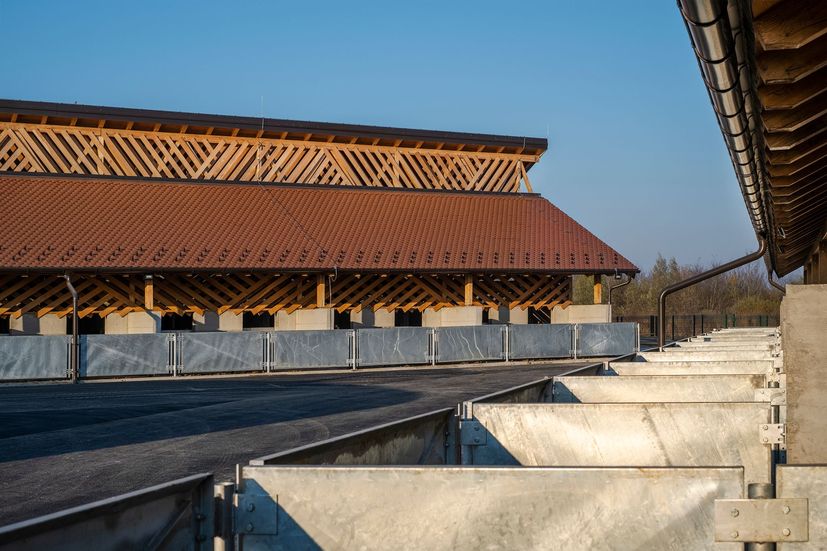 Impressive Black Slavonian Eco Pig Farm in Croatia up for architect award 