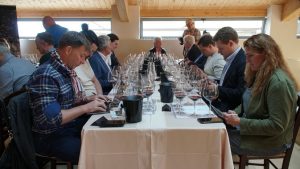 World experts confirm Istrian Teran is up there with the most prestigious red wine varieties