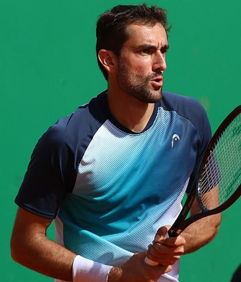 marin cilic french open quarter finals
