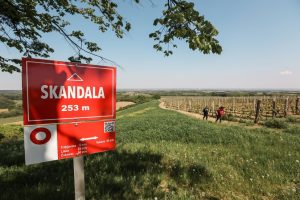 Beautiful nature and vineyards on 6 new themed hiking trails in Srijem and Slavonia