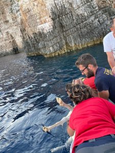 PHOTOS: Goat rescued from cliffs on Vis Island