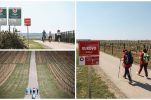 Beautiful nature and vineyards on 6 new themed hiking trails in Srijem and Slavonia
