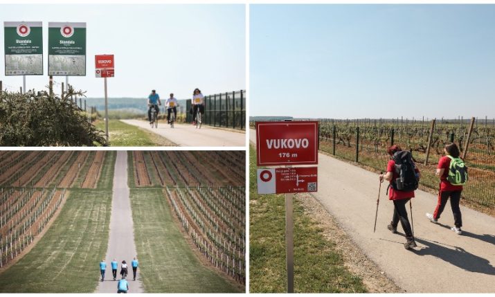 Beautiful nature and vineyards on 6 new themed hiking trails in Srijem and Slavonia