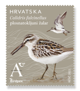 our protected birds in Croatia grace new commemorative stamps 