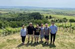 Wine Tour de Slavonia