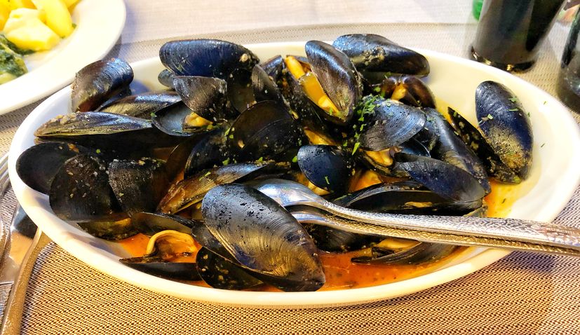 Novigrad Mussel becomes 43rd Croatian product protected