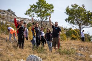 reforestation actions in Dalmatia which were affected by fires.