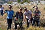 Popular Boranka reforestation campaign starts again near Split