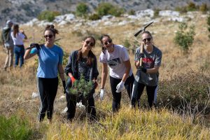 reforestation actions in Dalmatia which were affected by fires.