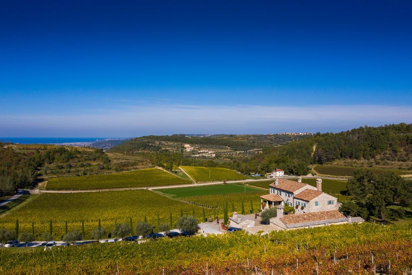 Croatian winery wins UK awards for organic wines