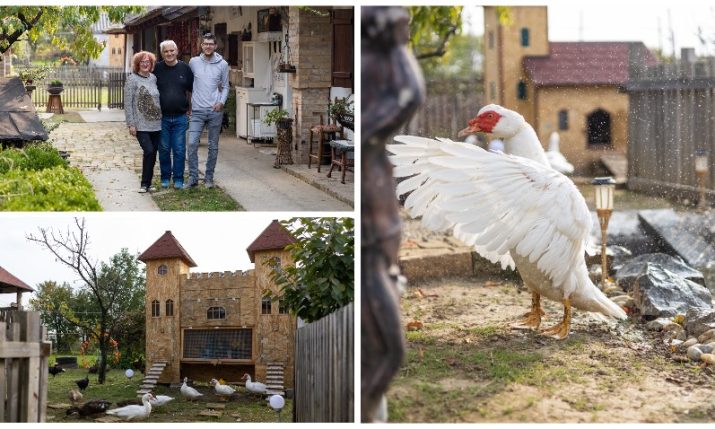 Kokingrad: Croatian family builds ‘city’ for hens and rooters