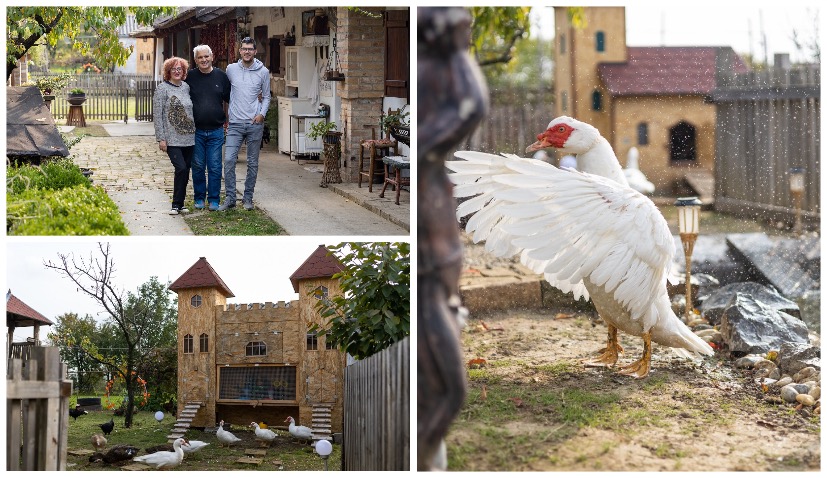 Kokingrad: Croatian family builds ‘city’ for hens and rooters