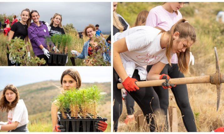 PHOTOS: Reforestation campaign in Trogir for first time 