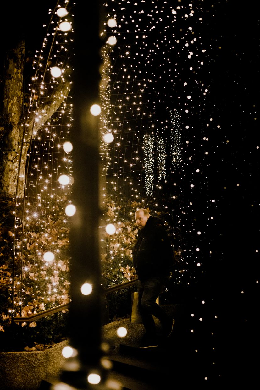 Peek into the most romantic corner of Zagreb inspired by the night and the stars - Winter Nocturne