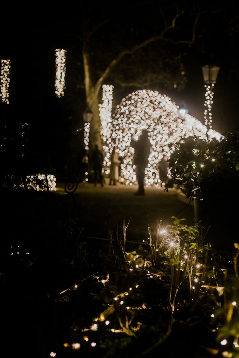 Peek into the most romantic corner of Zagreb inspired by the night and the stars - Winter Nocturne