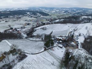 Vincekovo: We visit a Croatian winegrowers tradition 