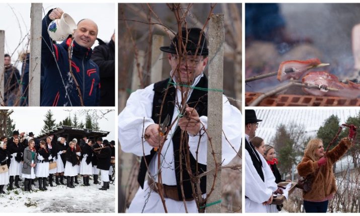 We check out the old Croatian January tradition of Vincekovo 