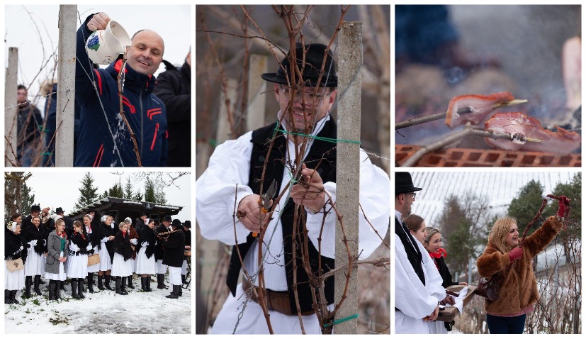 We check out the old Croatian January tradition of Vincekovo 