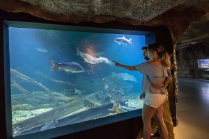 Aquatika freshwater aquarium and river museum in Karlovac a popular tourist attraction