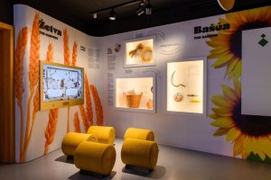 The Museum of Bećarac Interpretation Center in Pleternica opens its doors to visitors