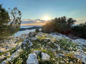 Croatia’s National Parks - 8 must-visit nature treasures  