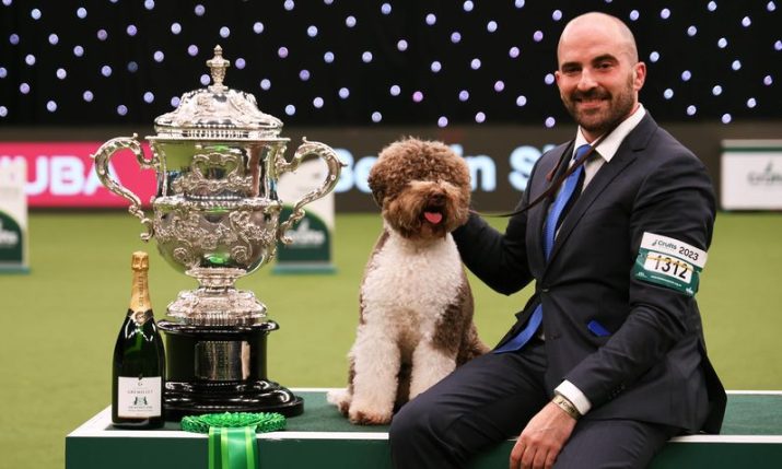 Orca from Croatia wins at world’s most prestigious dog show Crufts